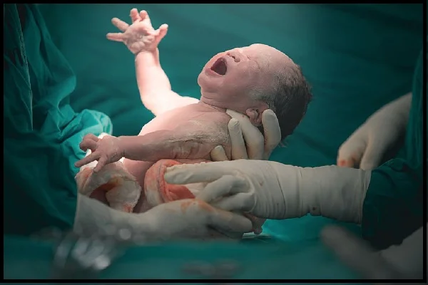 Normal and High Risk Pregnancy